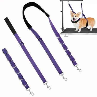 Image de Ceinture abdominale réglable - Ceinture de toilettage pour chiens - Nylon - Accessoires pour animaux de compagnie - Durable - Pratique pour tables de toilettage - Laisse pour chien