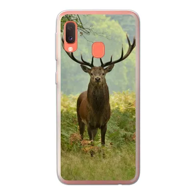 Produktbild von MuchoWow® Handyhülle Schutzhülle Hülle für Samsung Galaxy A20e Rothirsch - Natur - Grün Silikon Softcase Handy Hülle - Abdeckung