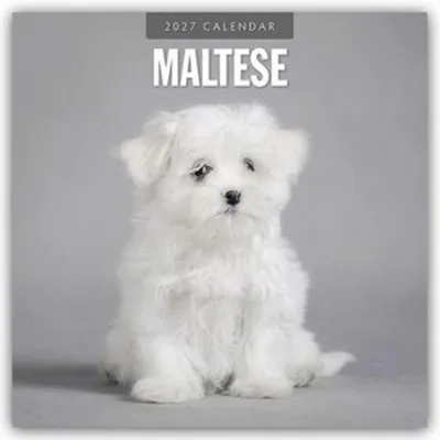 Produktbild von Maltese - Malteser 2027 - 16-Monatskalender