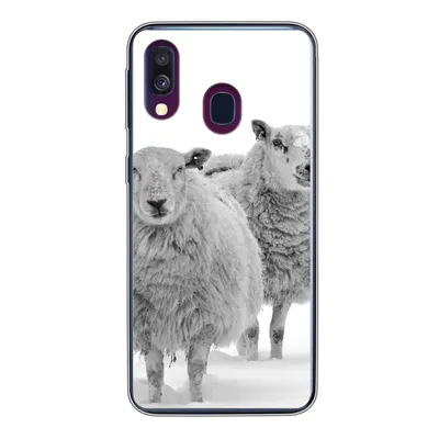 Produktbild von MuchoWow® Handyhülle Schutzhülle Hülle für Samsung Galaxy A40 Schafe - Schnee - Weiß Silikon Softcase Handy Hülle - Handy-Tasche