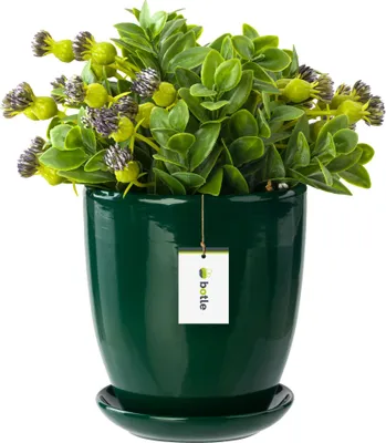 Produktbild von Blumentopf Blumenübertopf Flaschengrün Blumenschale mit Untersetzer Rund BxH 160 mm x 165 mm Oberfläche Glanz Keramik Modern Glamour