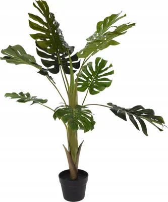 Produktbild von Künstliche Monstera in schwarzem Topf, 110 cm
