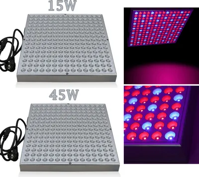 Image de Jayseuw lampe pour plantes lumière végétale spectre complet plantes d'intérieur lampe de croissance lampe 15W