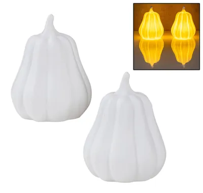 Produktbild von 2er Set LED Kürbis Weiß H11cm mit Timer Porzellan Tischdeko Herbstdeko Dekoleuchte Halloween Deko