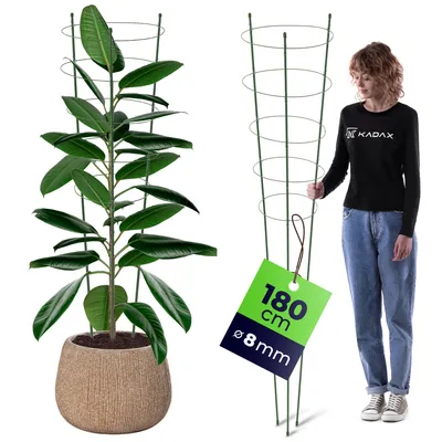 Produktbild von KADAX Rankhilfe für Pflanzen, 180 cm, 1 Stück, Pflanzenstütze aus Stahl, Blumenstütze, Pflanzenhalter, Rankgitter für Kletterpflanzen im Garten oder Blumentopf, Rankturm für Tomaten