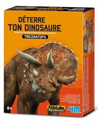 Obrázok produktu pre DAM 5663228, 8 rok / roky, Viacfarebný