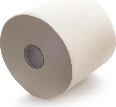 Obrázok produktu pre Dvojvrstvová celulózová papierová utierka, bezprašná, RANAL