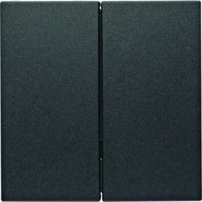 Obrázok produktu pre Berker 85142185, Antracit, Termoplastik, Berker, S.1/B.3/B.7, -5 - 45 °C, 1 kusov
