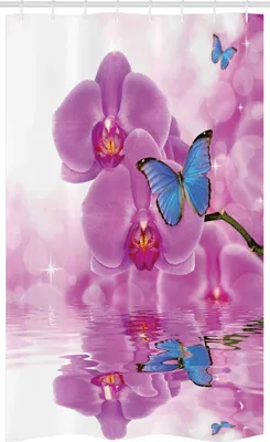 Image de ABAKUHAUS Papillon Rideau de douche étroit, fleur d'orchidée sur l'eau, set de décoration de salle de bain en tissu avec crochets, 120 x 180 cm, blanc bleu rose