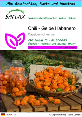 Produktbild von SAFLAX - Geschenk Set - Chili - Gelbe Habanero - 10 Samen - Mit Geschenk- / Versandbox, Versandaufkleber, Geschenkkarte und Anzuchtsubstrat - Capsicum chinense