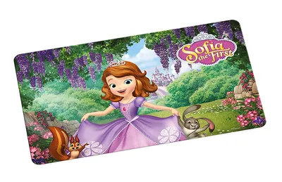 Image de Disney Sofia - Tableau - Jardin - 23,5 x 14 cm