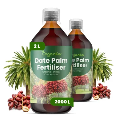 Produktbild von Dattelpalmen Flüssigdünger 2x1L – 2-1-8 NPK – Flüssigdünger Für Palmen – Für Blätter & Kräftiges Wachstum – Fördert Wurzeln & Vitalität – Organifer