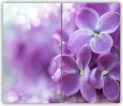 Produktbild von Tulup Glas-Herdabdeckplatte - 2x30x52cm - Glaskeramikkochfeld-Abdeckung Spritzschutz Zweiteilig Lila Blumen