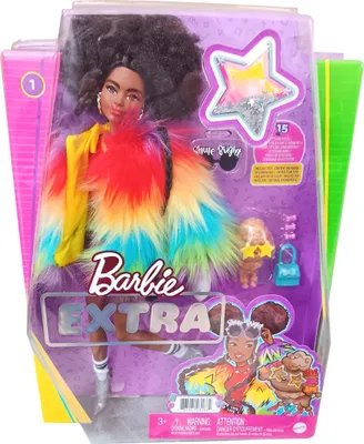 Obrázek produktu pro Mattel GVR04 Barbie Extra - stylová módní panenka s duhovým kožíškem, stříbrnými vysokými podpatky, barevnými doplňky, pudlík, hrací set pro děti
