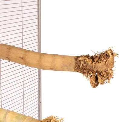 Produktbild von JAVA · Bambussitzstange mit Wurzelkopf · Groß · Bamboo Perch Large · Papageiensitzstange