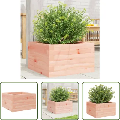 Produktbild von The Living Store Pflanzkübel 40x40x23 cm Massivholz Douglasie