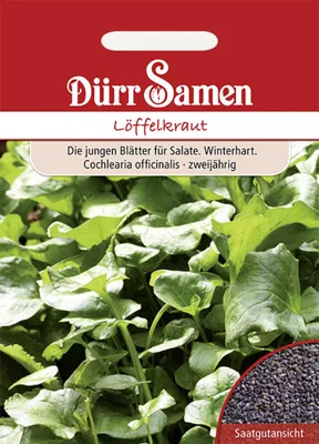 Produktbild von Dürr-Samen - Löffelkraut - Saatgut - 0197