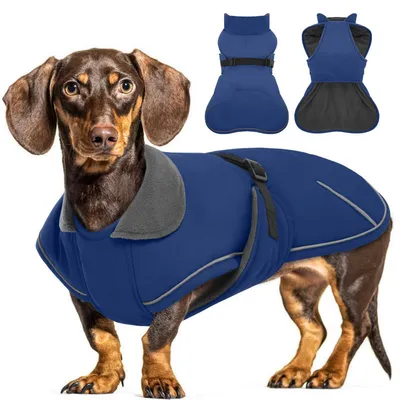Produktbild von Hundemantel Dackel S Blau Winddicht Wasserdicht Winter mit Bauchschutz Leinenloch