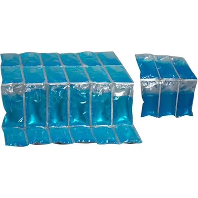 Image de Thermos Elément réfrigérant - pour glacière - 8 x 15 cm - 2 pièces