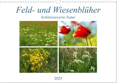 Produktbild von Feld- und Wiesenblüher Schützenswerte Natur (Wandkalender 2025 DIN A3 quer), CALVENDO Monatskalender