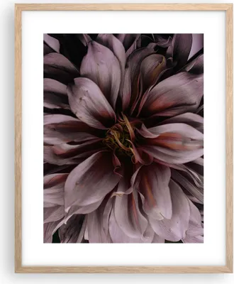 Produktbild von Gerahmtes Poster - Rahmen in heller Eiche - Blumenstrauß Künstlerisch Blume - 40x50 cm - Wand Bild - Wanddeko - Wandbilder - Kunstposter - Wandposter - Bilderrahmen - Bilder - P2NPA40x50-5019