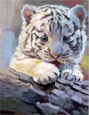 Obrázek produktu pro Vikpap W2630 - malování podle čísel, plátno 30 × 40 cm - Bílé tygří mládě
