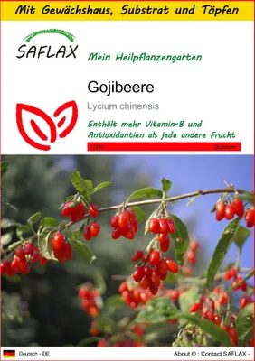 Produktbild von SAFLAX Anzucht Set - Gojibeere - Lycium chinensis - 200 Samen - Mit Mini-Gewächshaus, Anzuchtsubstrat und 2 Töpfen