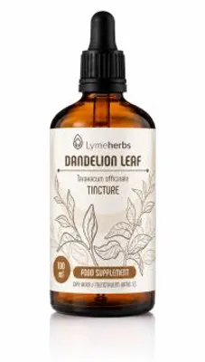 Obrázek produktu pro List pampelišky – tinktura 1:3 (100 ml)