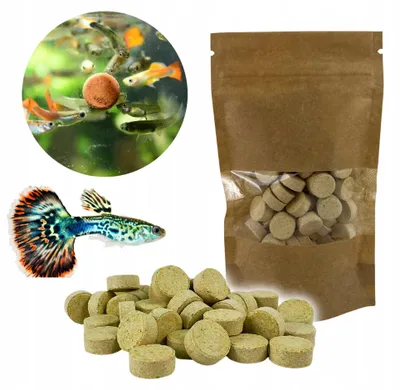 Produktbild von Fischfutter Aquarium Allium Tablet mit Knoblauch, Hafttabletten für Zierfische, Vollnahrung, 1 kg Großpackung