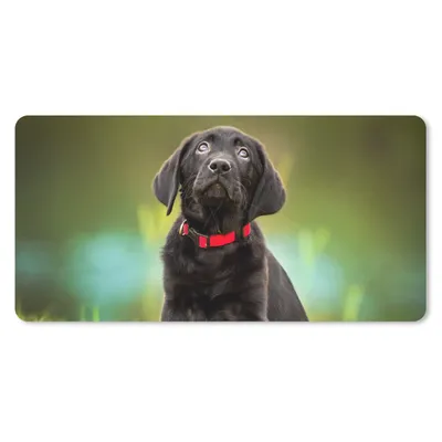 Produktbild von MuchoWow® Schreibtischunterlage Ein schwarzer Labrador Retriever schaut auf 80x40 cm - XXL Mauspad - Gaming Mauspad