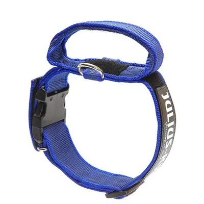 Immagine prodotto di Collare per cani Julius K9 40 mm 38-53 cm Blu 100HA-KB-2015