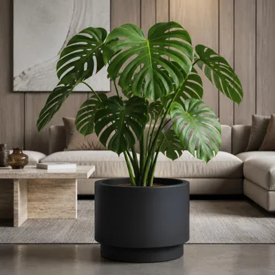 Produktbild von Großer außen Blumentopf NIVO rund 47 x 30 cm anthrazit