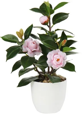 Immagine prodotto di Pianta da interno artificiale da 28 cm per la decorazione della casa