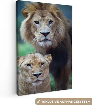 Produktbild von OneMillionCanvasses® - Leinwandbilder - 90x140 cm, Porträt - Löwe, Wandbilder Kunstdruck Wanddekoration - Wandschmucke - Schlafzimmer