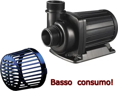 A black water pump and a blue filter basket are shown on a white background.