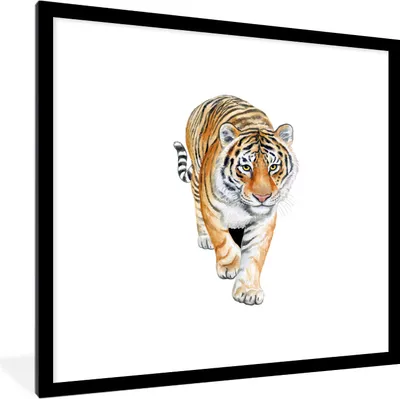 Produktbild von MuchoWow® MuchoWow® Gerahmtes Poster Tiger - Kopf - Weiß 40x40 cm - Poster mit zchwarzem Bilderrahmen - Poster - Plakat im Rahmen
