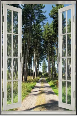 Produktbild von Wallario Wandbild mit Fenster-Illusion: Stiller Waldweg, Größe: 61 x 91,5 cm, Poster mit schwarzem Aluminiumrahmen