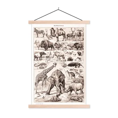 Produktbild von MuchoWow® Textilposter Tiere - Elefant - Schwarz - Weiß 120x180 cm mit holzfarbenen Rahmen - Textil-Plakat