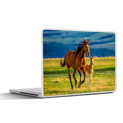 Produktbild von MuchoWow® Laptop Aufkleber Sticker Cover Pferde - Gras - Tiere - Landschaft - Natur 30x22 cm - Laptop-Sticker