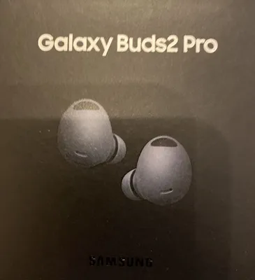Image de Samsung Galaxy Buds2 Pro graphite / noir