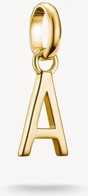 Produktbild von Thomas Sabo Charm Club Connect CC1207-413-39 Charm Anhänger
