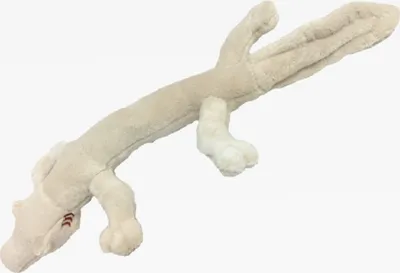 Produktbild von Cornelissen - Kuscheltier - Grottenolm - 33 cm