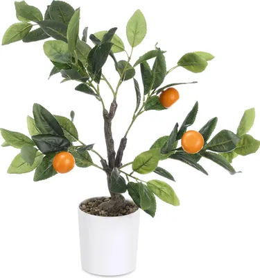 Zdjęcie produktu dla Dekoracyjne drzewko pomarańczowe, 58 cm