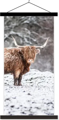Produktbild von MuchoWow® Textilposter Schottisches Hochlandrind - Baum - Schnee 40x80 cm mit schwarzem Rahmen - Wandemalerei