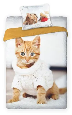 Produktbild von Bettwäschegarnitur 140x200 cm + 70x90 cm Katze Kätzchen 140x200 cm + 70x90 cm - Best Friends 001