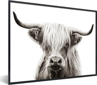 Produktbild von MuchoWow® Gerahmtes Poster Schottischer Highlander - Tiere - Schwarz - Weiß 80x60 cm - Poster mit Schwarzem Bilderrahmen Wandposter Rahmen Foto Bilder - Schwarzem - Mit Gestell