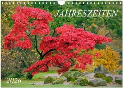 Produktbild von Jahreszeiten / 2026 (Wandkalender 2026 DIN A4 quer), CALVENDO Monatskalender