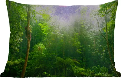 Produktbild von MuchoWow® Outdoor Kissen - Dschungel - Sonnenlicht - Grün - Mädchen - Kinder - Jungen - 60x40 cm - Wetterfest - Lounge Kissen - Zierkissen - Kissen für Innenräume
