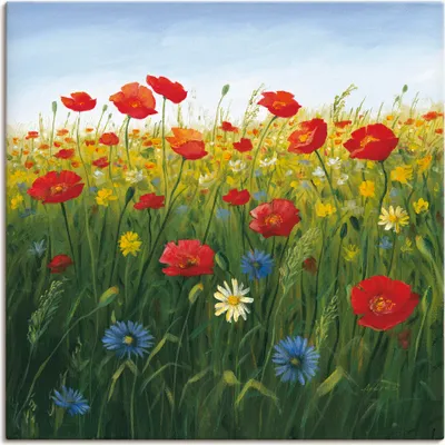 Produktbild von ARTland Leinwandbild Mohnblumen Landschaft I Größe: 70x70 cm