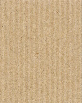 Produktbild von Clairefontaine Pack 10 Bögen Wellpappe, 50x70cm, 300g - Kartonbraun 195671C
